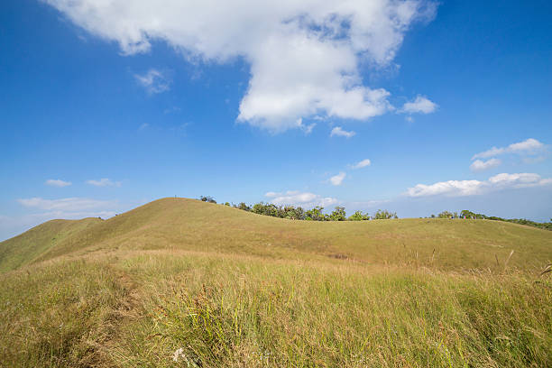 istock field full of golden wheat, with a cloudless blue sky 498400053