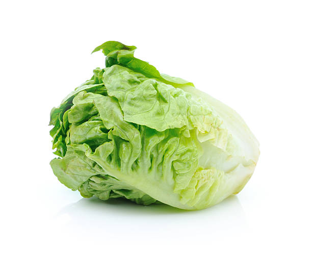 istock lettuce leaves isolated on white background 498400101