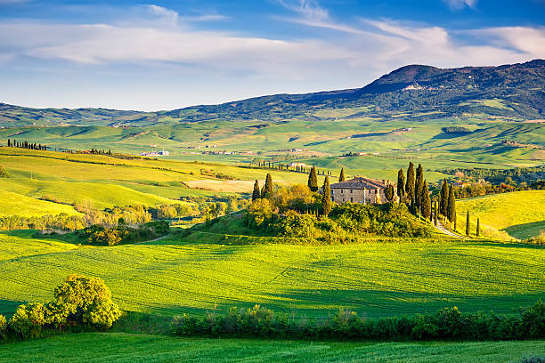 istock Tuscany landscape at sunset 498400319