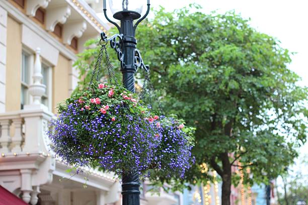 istock Beautiful hanging flower pots outdoors. 498402997
