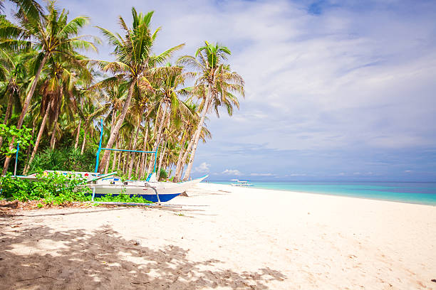 istock Coconut Palm trees on white sandy beach at desert island 498403331