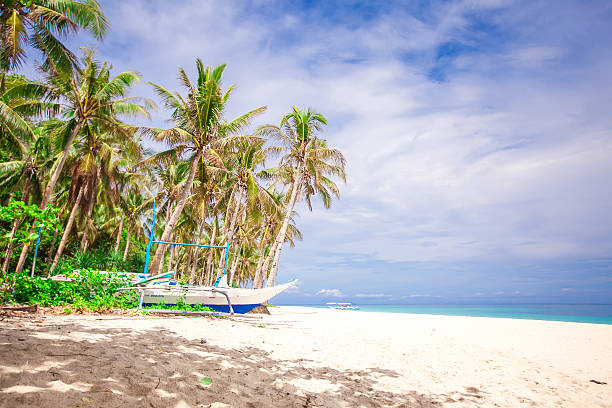 istock Coconut Palm trees on white sandy beach at desert island 498403401