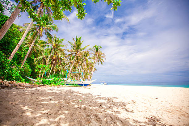 istock Desert island with palm tree on the beach 498403427