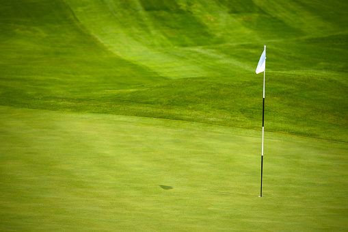 Golf Green Background