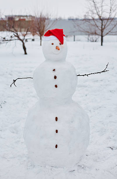 istock Real snowman outdoors 498403822