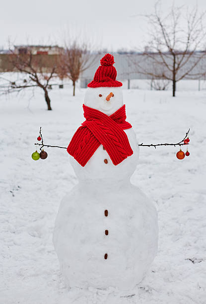 istock Real snowman outdoors 498403846