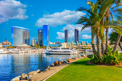 A lawn with palm trees along with water reflections fills the foreground leading back to the skyscrapers of San Diego with cloudscape in the sky, California