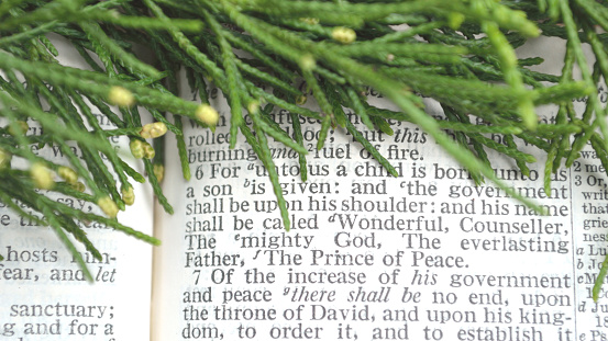 Green cedar branches with messianic prophecy of the coming of Christ in the book of Isaiah, chapter 9, verse 6.