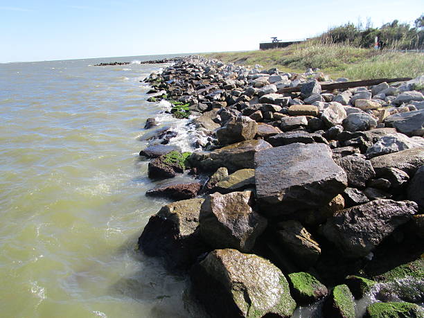 istock ROCKS ON SHORE AT DAUPHIN ISLAND 498410284