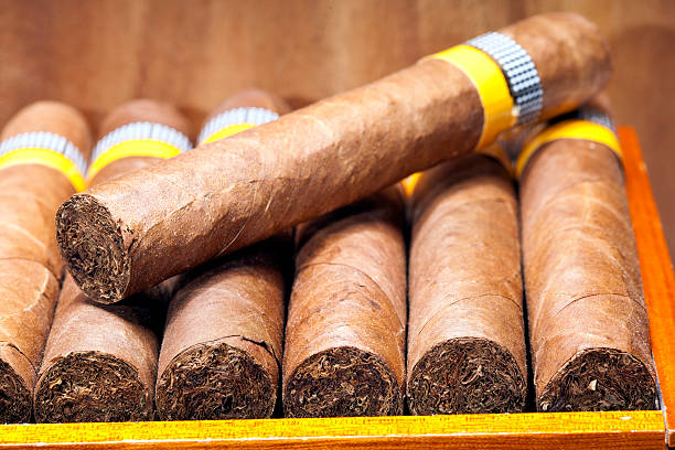 istock The Cuban cigars, hand made 498410548