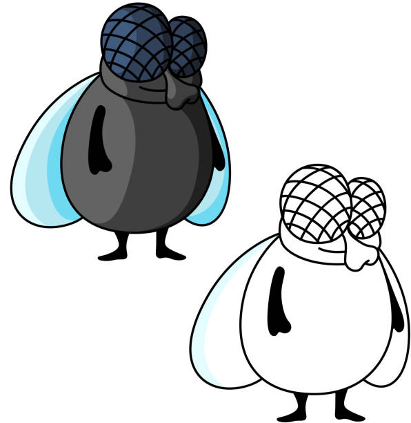 Shy smiling fat fly cartoon character Funny fat fly cartoon character with big compound eyes and shy smile, second variant with colorless silhouette. For t-shirt or mascot design fat ugly face stock illustrations