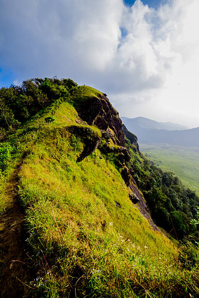 istock field of spring grass and mountain 498421554