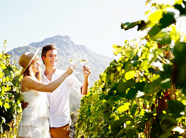 istock Good-looking couple in sunlit vineyard toast in white wine 498422507