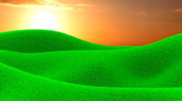 istock Green field of grass 498422799