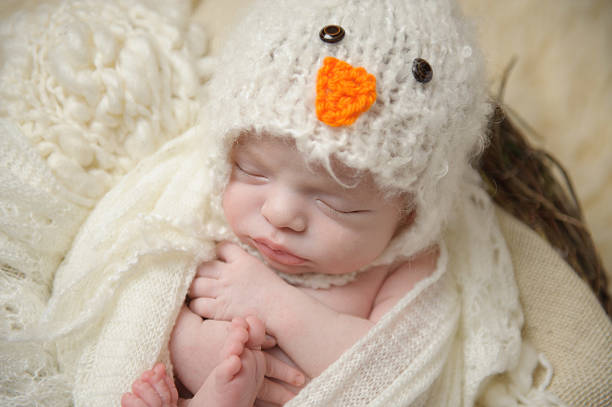 niño recién nacido durmiendo - baby animal nest newborn lying down fotografías e imágenes de stock