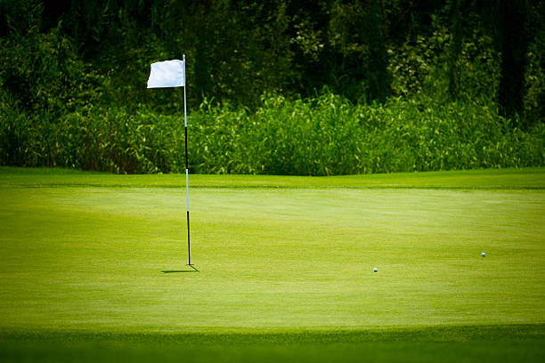 ゴルフ緑色背景 - putting green practicing putting flag ストックフォトと画像