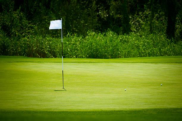 골프 그린 배경 - putting green practicing putting flag 뉴스 사진 이미지