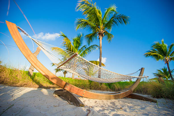 istock Straw hammock in shadow of palm on tropical beach 498424939
