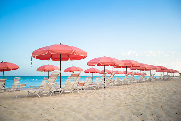 istock Paradise view of tropical empty sandy plage with umbrella 498424965
