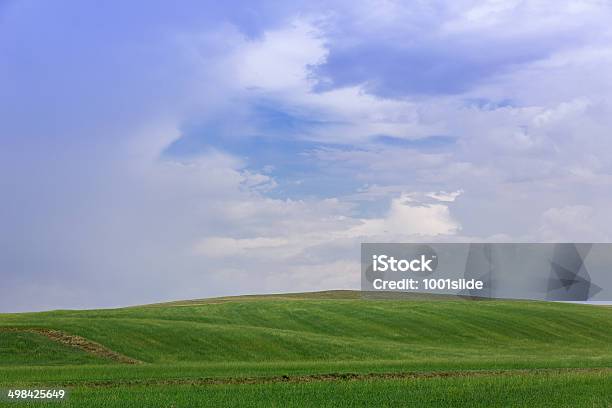 Motivo A Onde Grano Divisione - Fotografie stock e altre immagini di Agricoltura - Agricoltura, Ambientazione esterna, Bellezza naturale