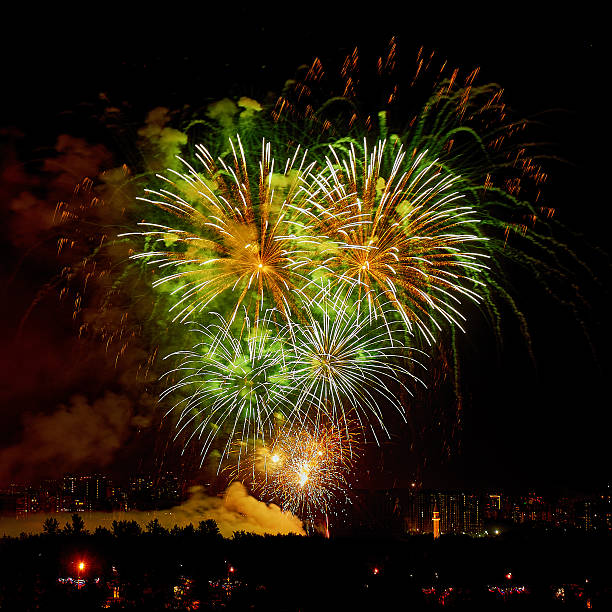 istock Celebratory colorful bright firework in a night sky 498425882