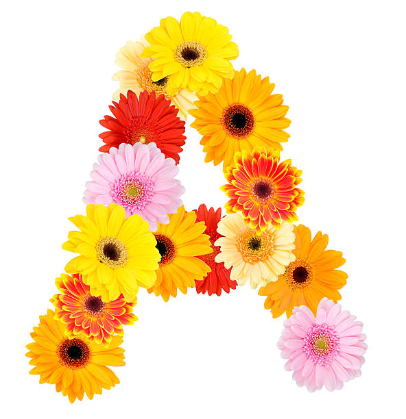 istock Letter made of flowers 498425894