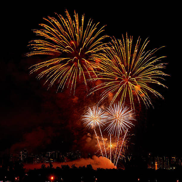 istock Celebratory colorful bright firework in a night sky 498425912
