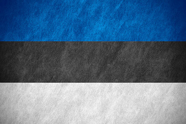 flag of Estonia or Estonian banner on canvas texture