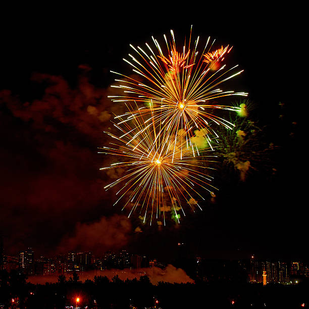 istock Celebratory colorful bright firework in a night sky 498426402