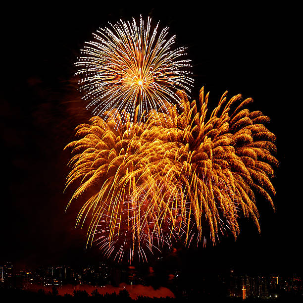 istock Celebratory colorful bright firework in a night sky 498426814
