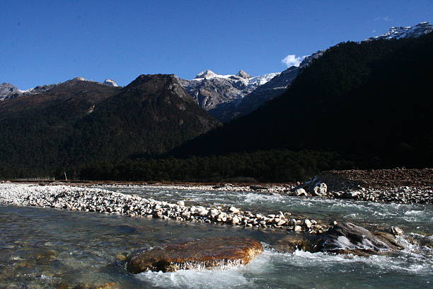 istock Yumthang Valley - Valley of Flowers 498428503