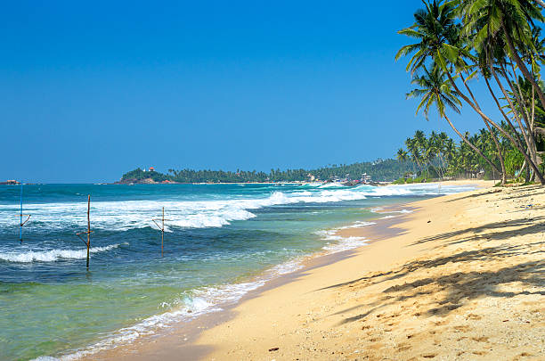 istock Tropical beach in Sri Lanka 498430980
