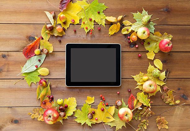 istock tablet pc with autumn leaves, fruits and berries 498434484