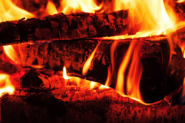 istock Fireplace with birch firewood and flame. 498443983