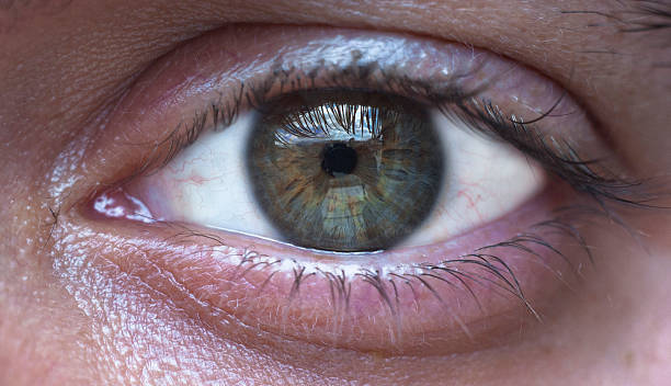 istock green eye of man 498444877