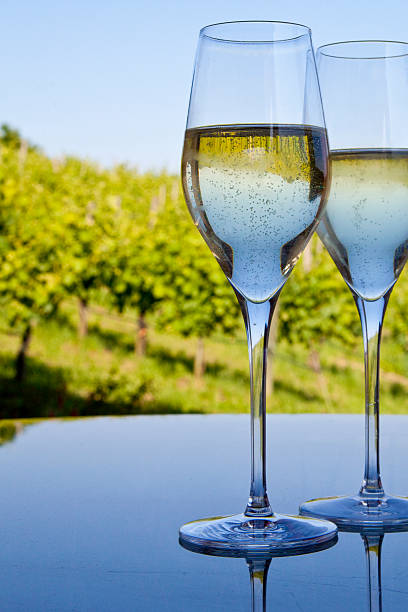 Champagne Glass of champagne against vineyard background champagne region photos stock pictures, royalty-free photos & images