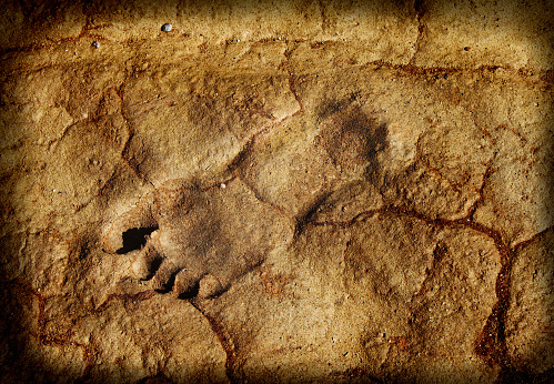 an old human fossilized footprint in hardened mud or clay