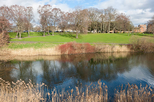istock Lake in the park 498445723