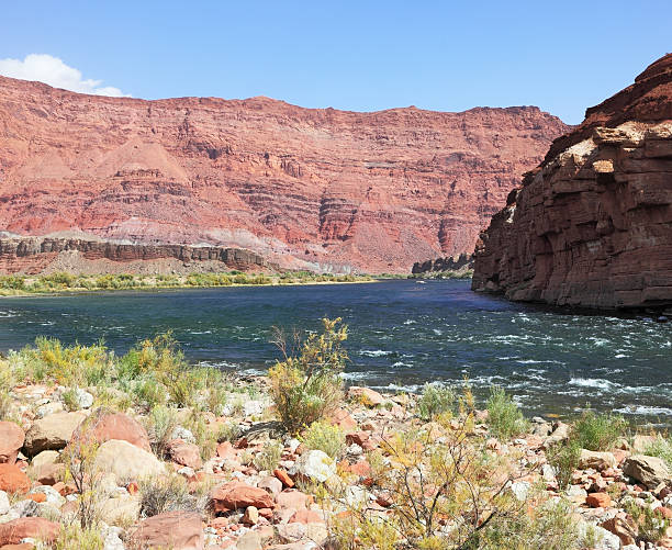 istock The rapid flow of the river 498455132