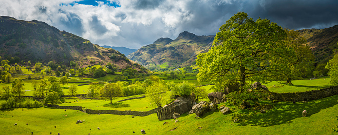 Golden light of sunrise filling the green mountain valleys high in the Lake District National Park overlooked by the iconic rocky summits of the Langdale Pikes and Bow Fell towards Coniston and Windermere, Cumbria, UK. Photo RGB profile for maximum color fidelity and gamut.