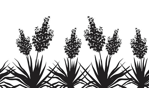 Flowers Yucca silhouette, horizontal seamless Horizontal seamless of flowers and plants Yucca, black silhouette isolated on white background. Vector yucca stock illustrations