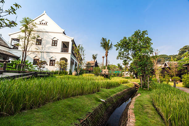 istock Green rice field in the villa,Thailand 498460371