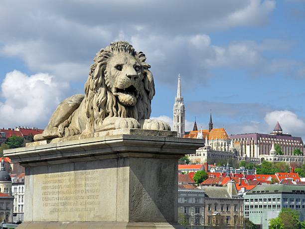Lion statue in Budapest stock photo