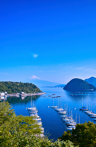 Mount Fuji and Yacht harbor in the Suruga Bay of Japan
