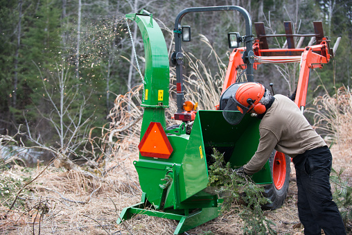 men working with wood chipper and tractor