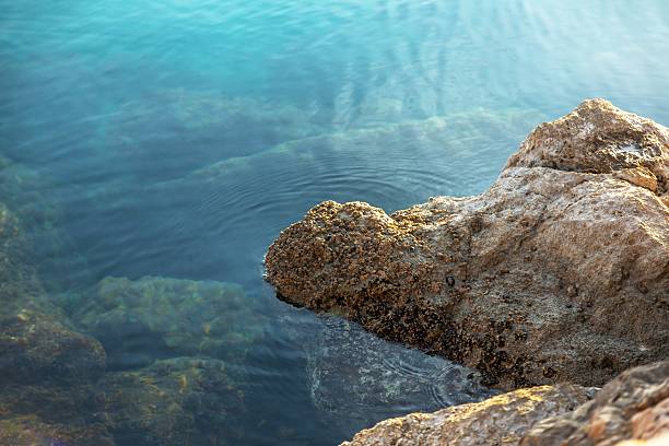 istock Rocks in the sea 498462776