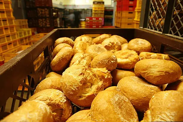 bread in bakery