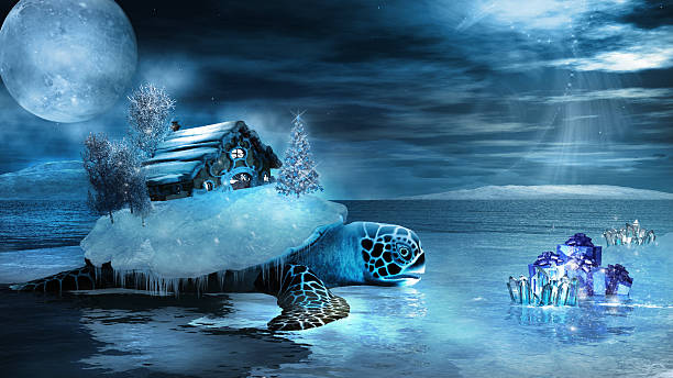 istock House on the shell of a turtle 498463466