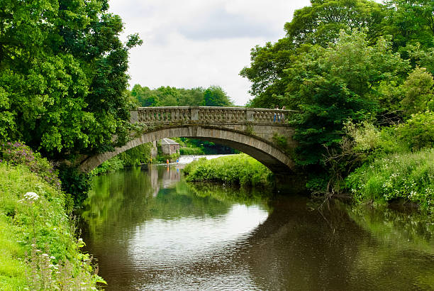 stone bridge sobre o branco carrinho água em pollok park - uk tree city bridge - fotografias e filmes do acervo