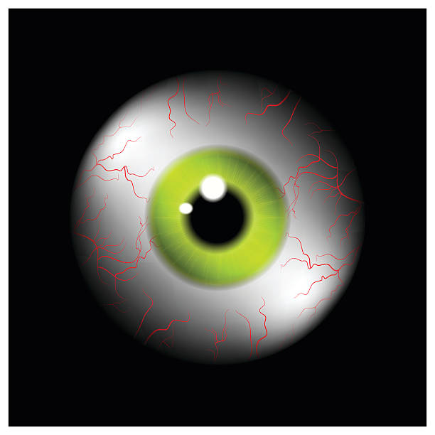 istock Image of realistic human eye ball with yellow,green  pupil, 498465302